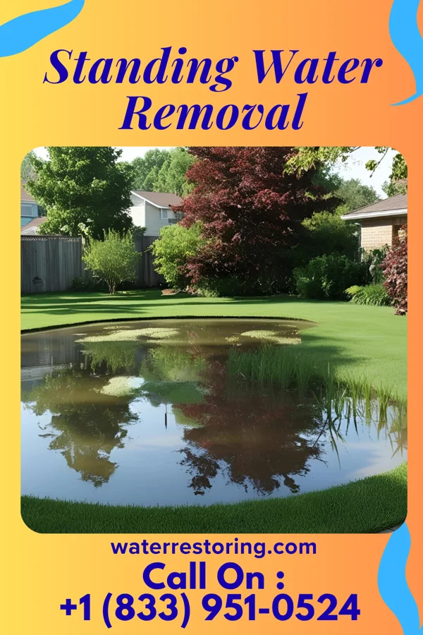 Standing Water Removal in St. Marys, KS